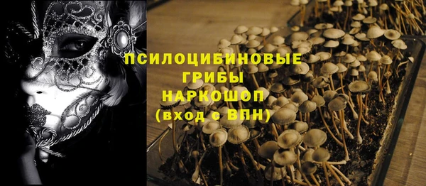 прущая мука Абаза