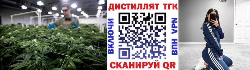 mega ТОР  Вичуга  Дистиллят ТГК Wax 
