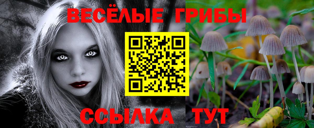 Галлюциногенные грибы Magic Shrooms  Вход с VPN  Вичуга  Галлюциногенные грибы Magic Shrooms 